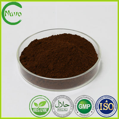 99% Shell Broken spore ganoderma powder