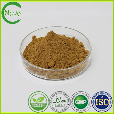 Cordyceps Sinensis Powder